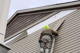 Best Vinyl Siding Installation  in Ramtown, NJ